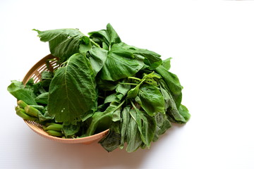 spinach - vegetable in basket