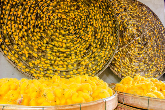 silk pods