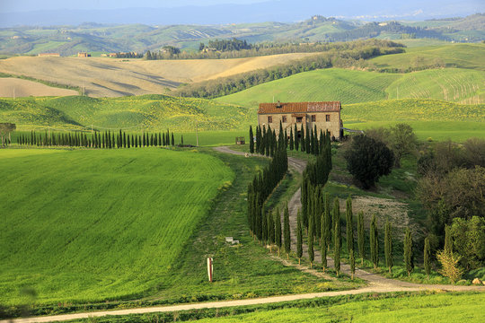Bellissimo panorama della val d'Orcia in Toscana