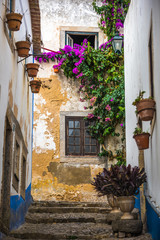 Narrow street full of flowers in Obidos, Portugal