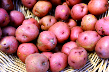 Fresh Dug Potatoes