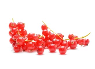 Red Currant isolated on white background