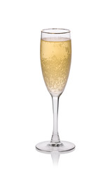 Cider