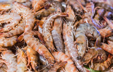 Fresh Shrimps on display in fishermen market. Background texture