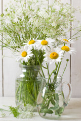 Daisies in vase