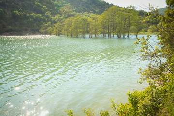 Sykko Lake landscape
