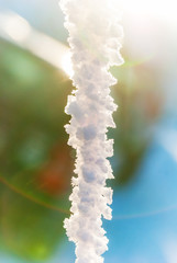 Snow water icicle detail macro bokeh background backdrop
