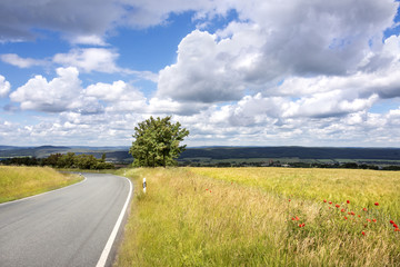 Fototapeta premium Thuringia, Germany: Scenery with yellow cornfield, green tree, blue cloudy sky and lonely tarred road