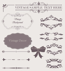 Wicker lines and old decor elements in vector. Vintage borders, frame and rosette in set. Vector page decoration. Decoration for logos, wedding album or restaurant menu.