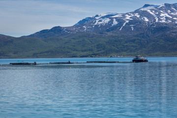 Salmon farm in northern Norway