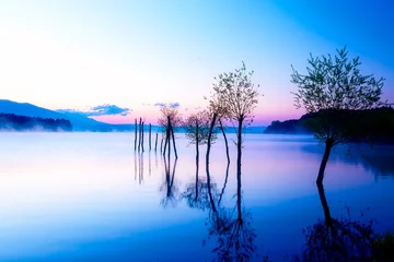 Stof per meter Prachtig landschap met een meer en bergen op de achtergrond en bomen in het water. Blauwe en paarse kleurtoon. Slowakije Liptovska Mara, in de regio Liptov. © jozefklopacka
