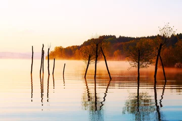 Fotobehang beautiful lake with mountains in the background at sunrise. Trees in water and morning fog. © jozefklopacka