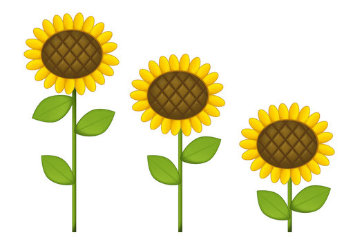 Cartoon scene with sunflowers - isolated - illustration for children
