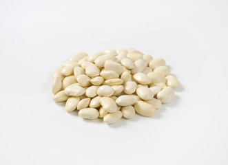 raw white beans