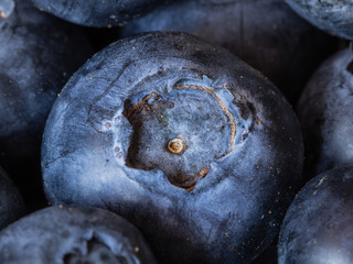 A closeup of a blueberry