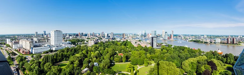 Foto op Plexiglas Panorama van Rotterdam met Erasmusbrug, Holland © matho