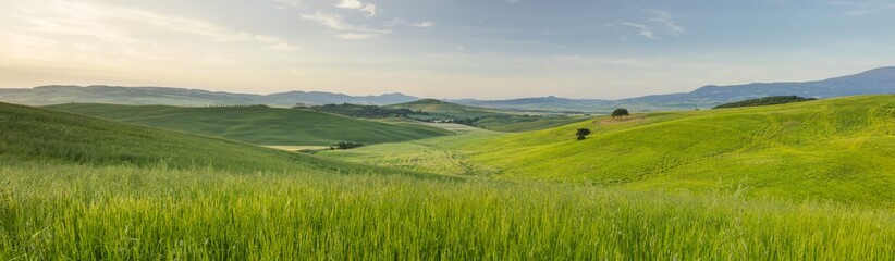 panorama of tuscany valley  in Tuscany in Italy