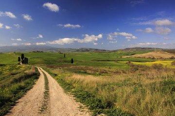 Fototapeta premium La meravigliosa val d'Orcia in Toscana