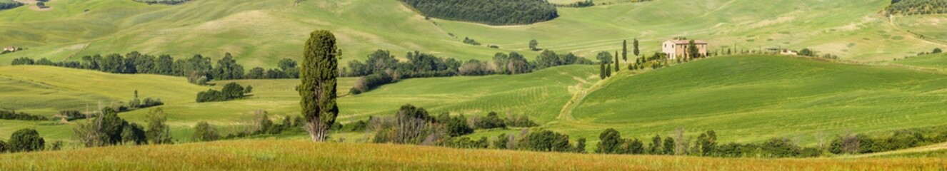 Fototapeta premium Panorama with single tree and farm in Tuscany in Italy