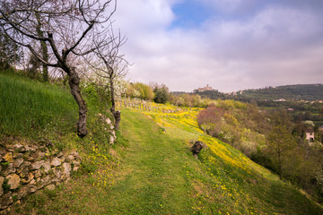 Blooming spring in the Italian hills.