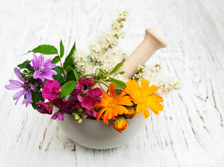 wild flower and herb leaf in mortar