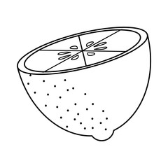 Healthy and organic food. fruit icon. vector graphic