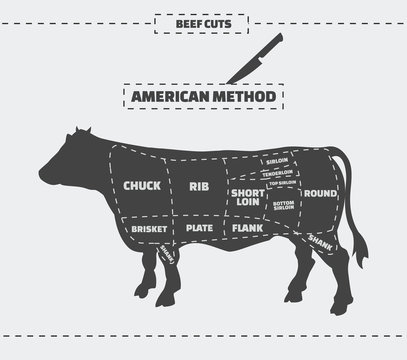 Cuts of beef. American method. Vector vintage monochrome illustration on a gray background.