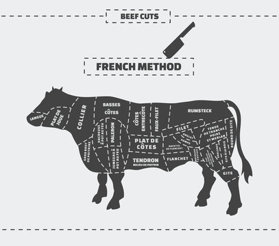 Cuts of beef. French method. Vector vintage monochrome illustration on a gray background.