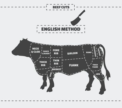 Cuts of beef. English method. Vector vintage monochrome illustration on a gray background.