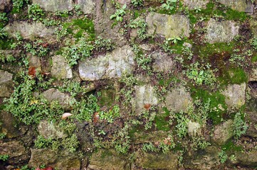 Closeup of stone wall masonry texture overgrown with moss and grass