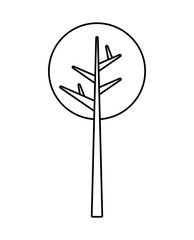 Nature design. tree with branches icon. vector graphic