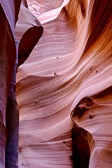 Narrow striped slot canyon walls. Zebra slot canyon, Escalante National Monument, Utah, USA. 