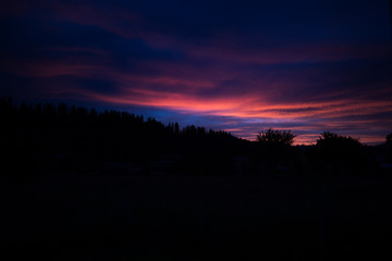 Fototapeta premium Deep red sunset in the forest
