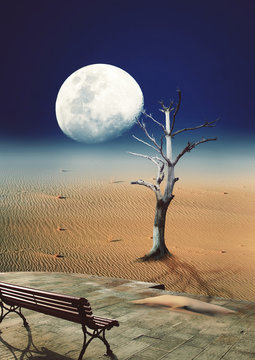 Paisagem ao Luar