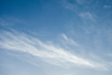 Naklejka na ściany i meble blurred clouds in the blue sky.