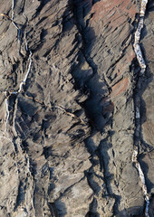 Part of rock close up.