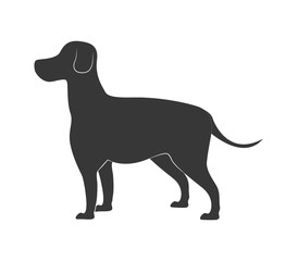 Animal and Pet love. Dog cartoon  icon. vector graphic