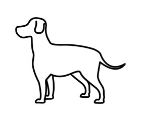 Animal and Pet love. Dog cartoon  icon. vector graphic