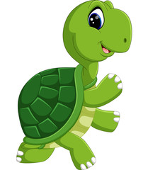cute turtle cartoon