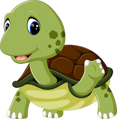 Obraz premium cute turtle cartoon
