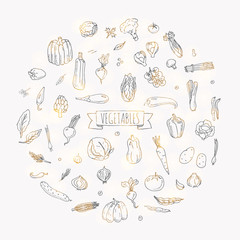 Hand drawn doodle vegetables icons set Vector illustration seasonal vegetable symbols collection Cartoon different kinds of vegetables Various types of vegetables on white background Sketchy style