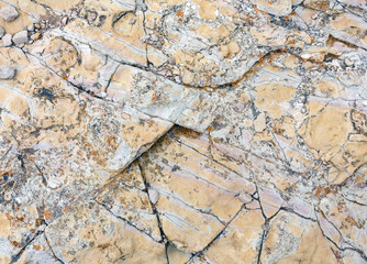 Part of rock close up.