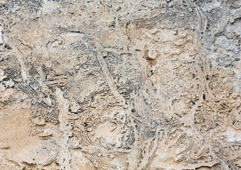 Stony wall background.