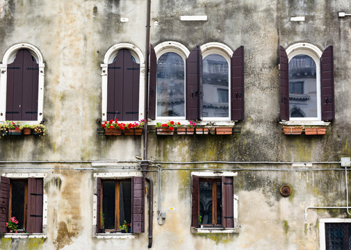 Windows on a building facede in Venice, italy with flowerpot
