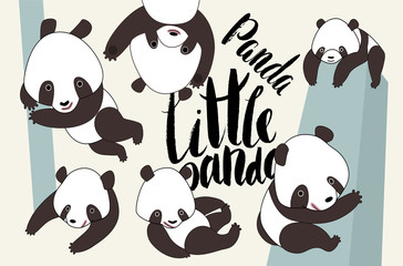 iLttle panda bear in various poses vector illustrated set with lettering Little Panda