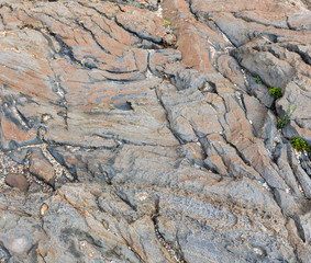 Part of rock close up.