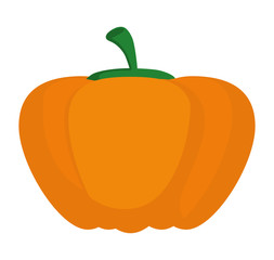 organic and healthy food concept. vegetable icon. vector graphic