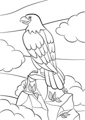 Coloring pages. Wild birds. Cute smiling eagle sits on the rock.