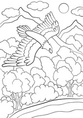 Obraz premium Coloring pages. Wild birds. Cute eagle flying under the forest.