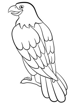 Coloring pages. Wild birds. Cute eagle sits smiles.